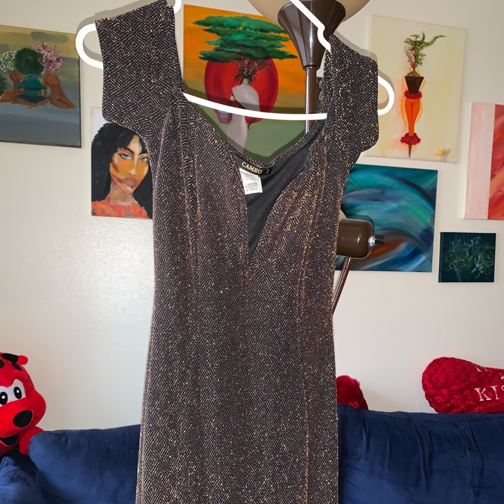 Prom/night out dress